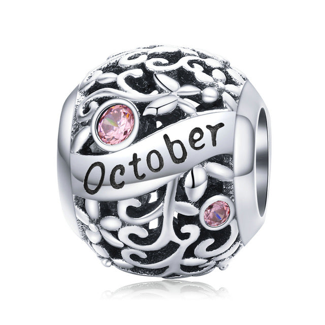 Birthstone Silver Charm