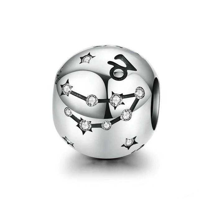 Zodiac Sign Charm